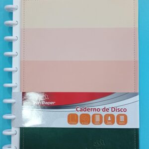 CADERNO DE DISCO COLOR 80FLS REF WPS20010